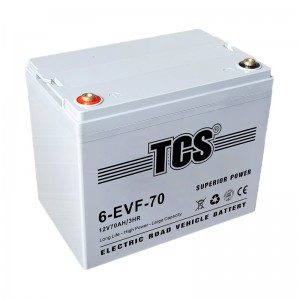 TCS綯·6-EVF-70